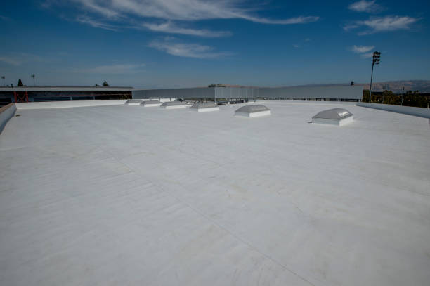 Best Roof Insulation Installation  in Park Ridge, IL