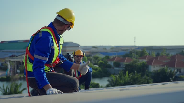 Best Asphalt Shingle Roofing  in Park Ridge, IL