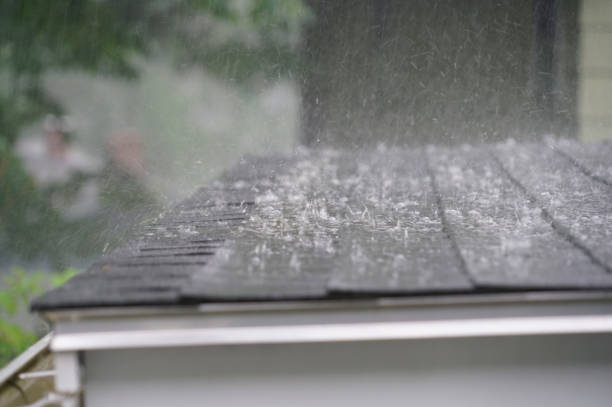 Best Gutter Installation and Repair  in Park Ridge, IL