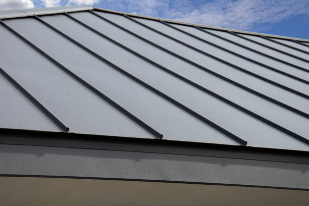Best Rubber Roofing (EPDM, TPO)  in Park Ridge, IL