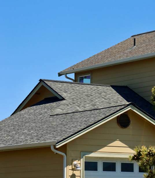 Best Roof Leak Repair  in Park Ridge, IL